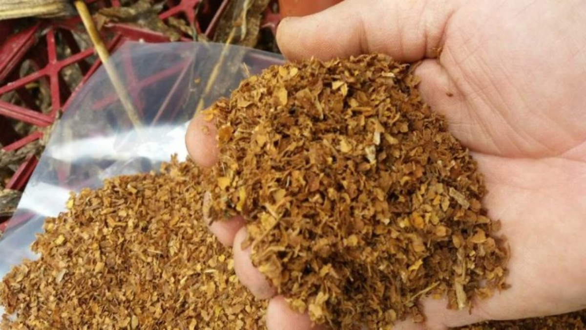 İzmir'de kaçak tütün ele geçirildi
