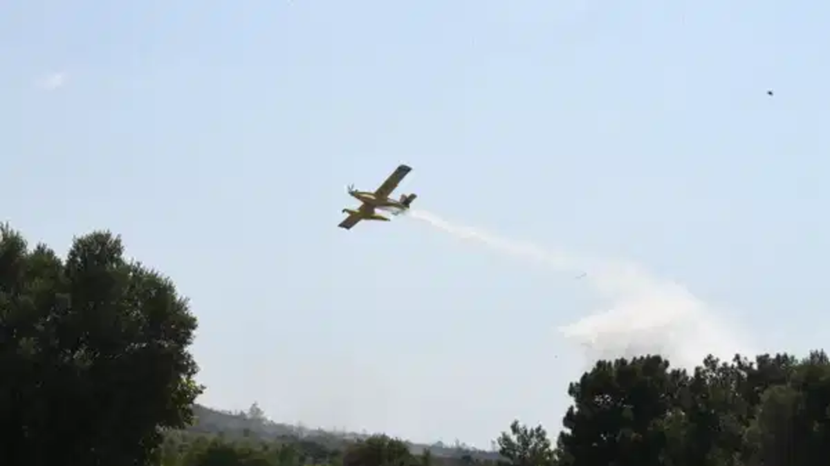 İzmir'de yangın kontrol altına alındı