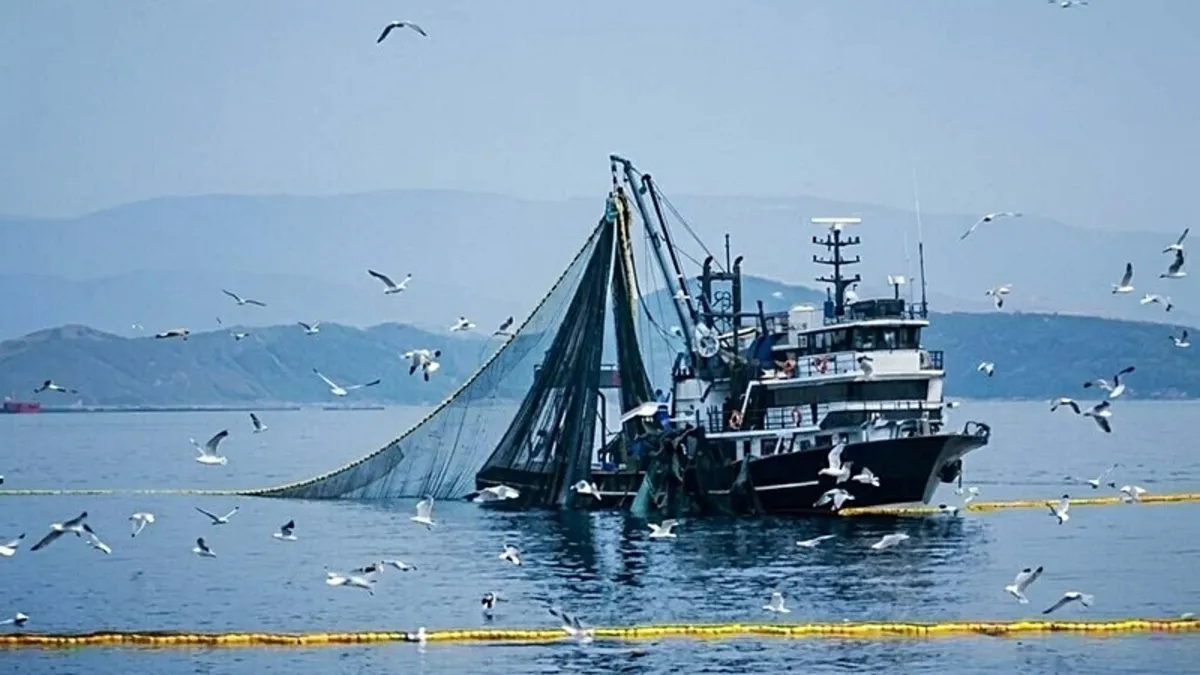 2026 balıkçılıkta rekor yılı olabilir