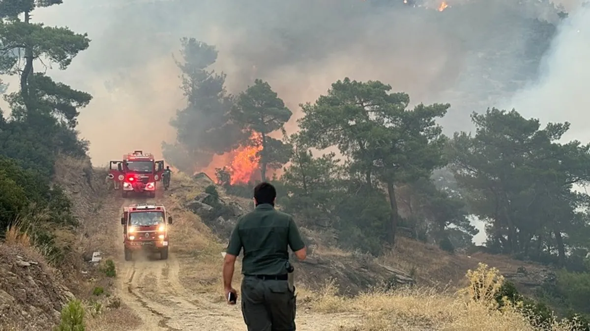 Aydın ve Balıkesir'de orman yangını sürüyor