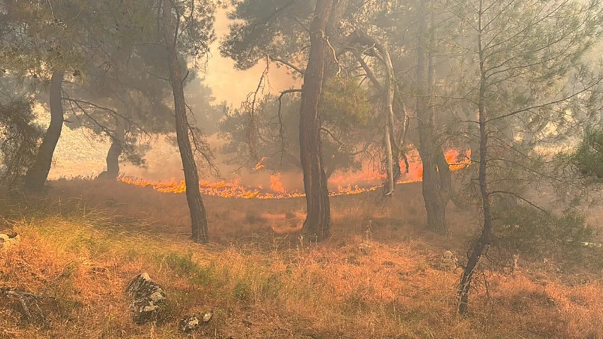 Balıkesir'de yangın İzmir sınırına ulaştı