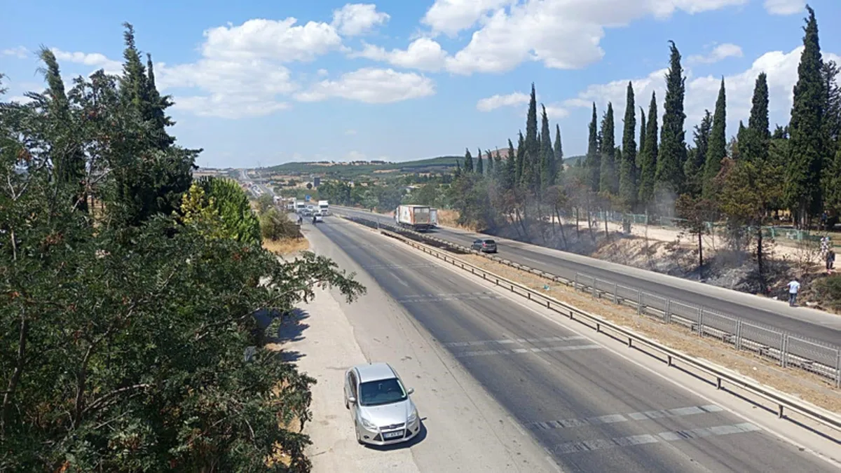 Bursa'da anız yangını İzmir yoluna ulaştı