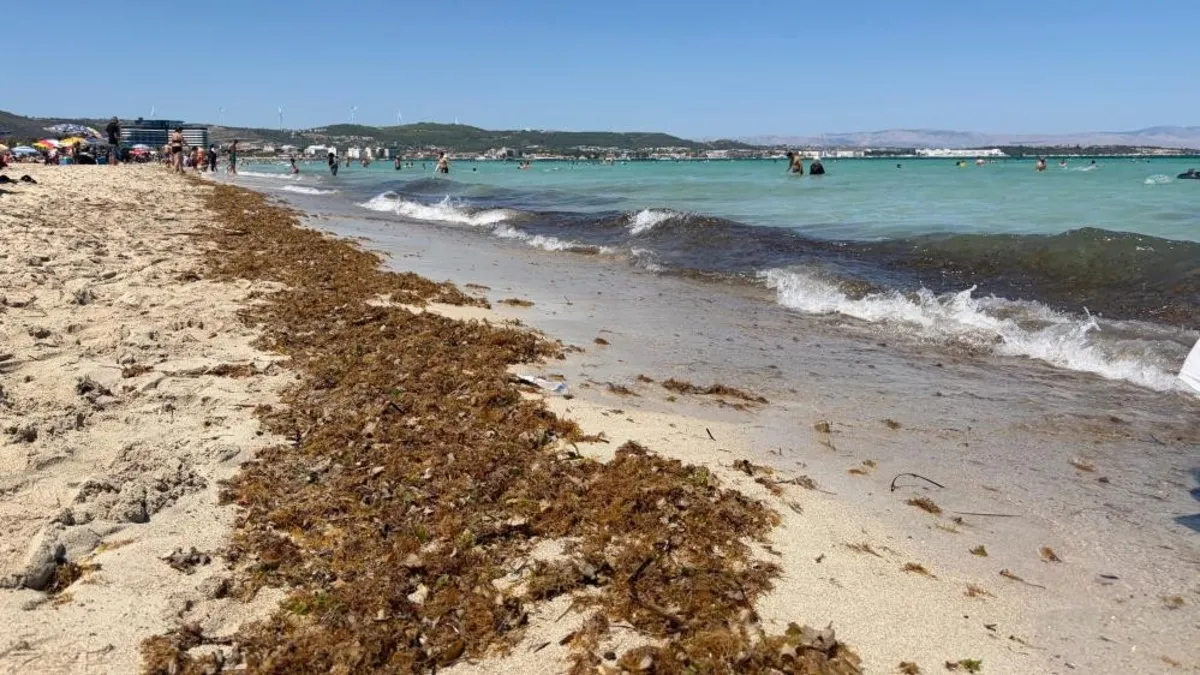 Çeşme Ilıca Plajı kirlilikten şikayetçi