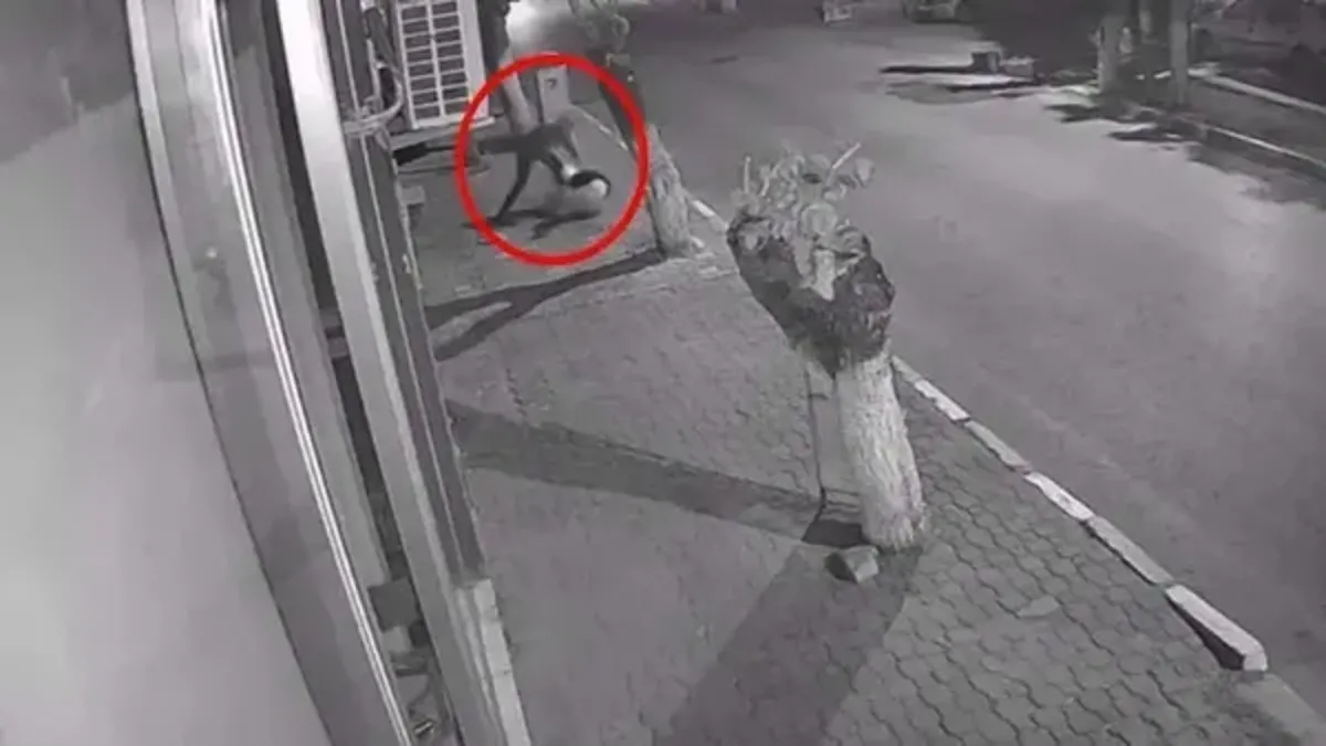 İzmir'de 18 yaşındaki kızı bıçaklayan sanık tahliye edilmedi