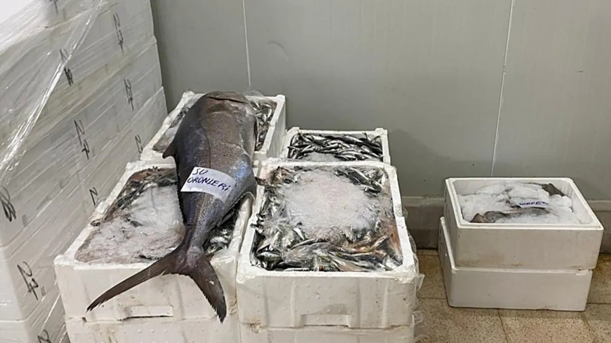 İzmir'de 241 kilogram su ürününe el konuldu