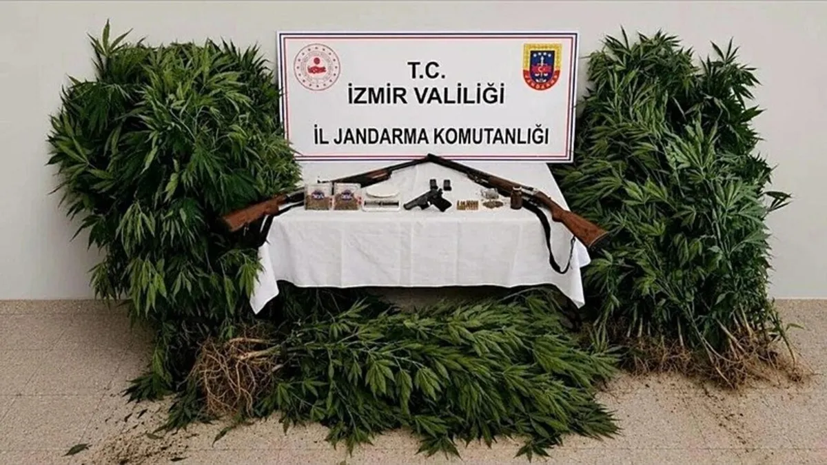 İzmir'de kenevir yetiştiricisi tutuklandı
