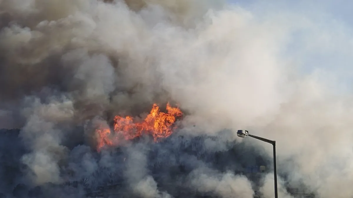 İzmir'de orman yangını çıktı