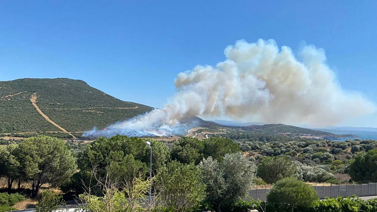 İzmir'de orman yangını çıktı