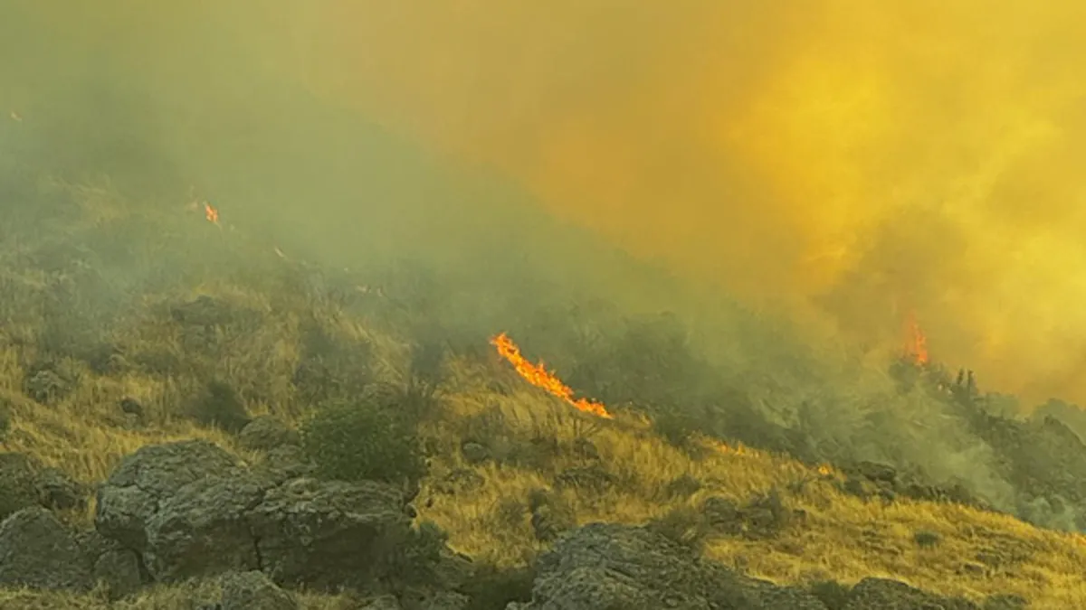 İzmir'de otluk alanda yangın çıktı