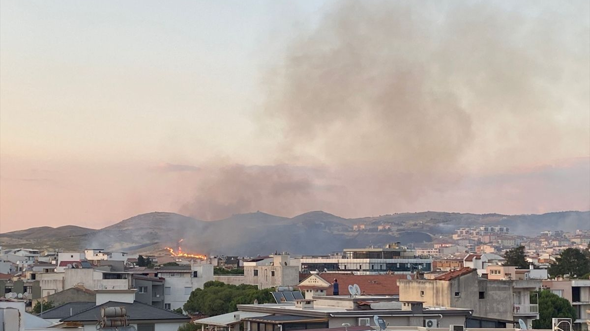 İzmir'de otluk ve makilik alanda yangın çıktı