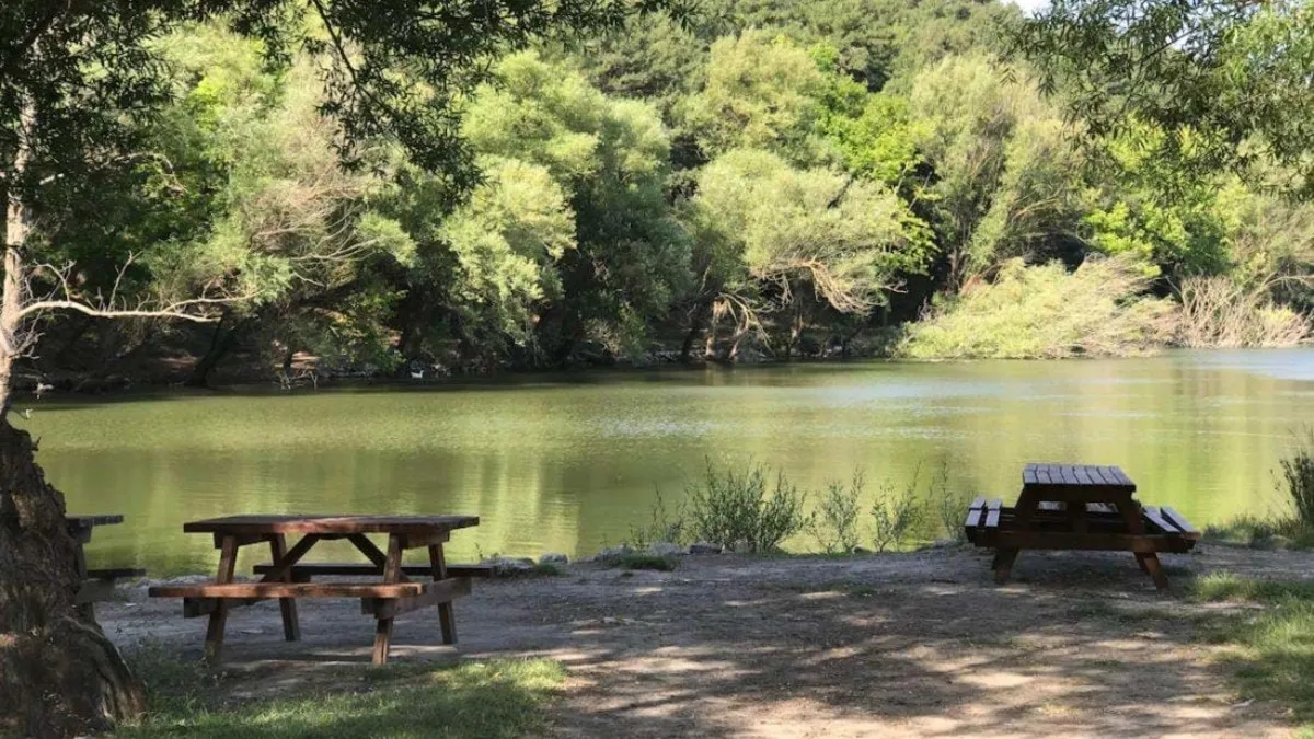 İzmir'de piknik alanları