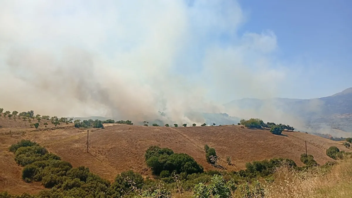 İzmir'de tarım arazisindeki yangın kontrol altına alındı
