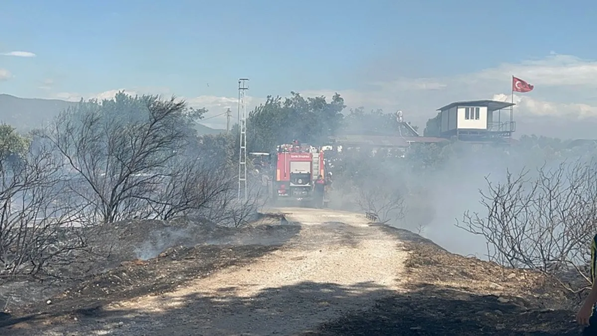 İzmir'de yangın çıktı