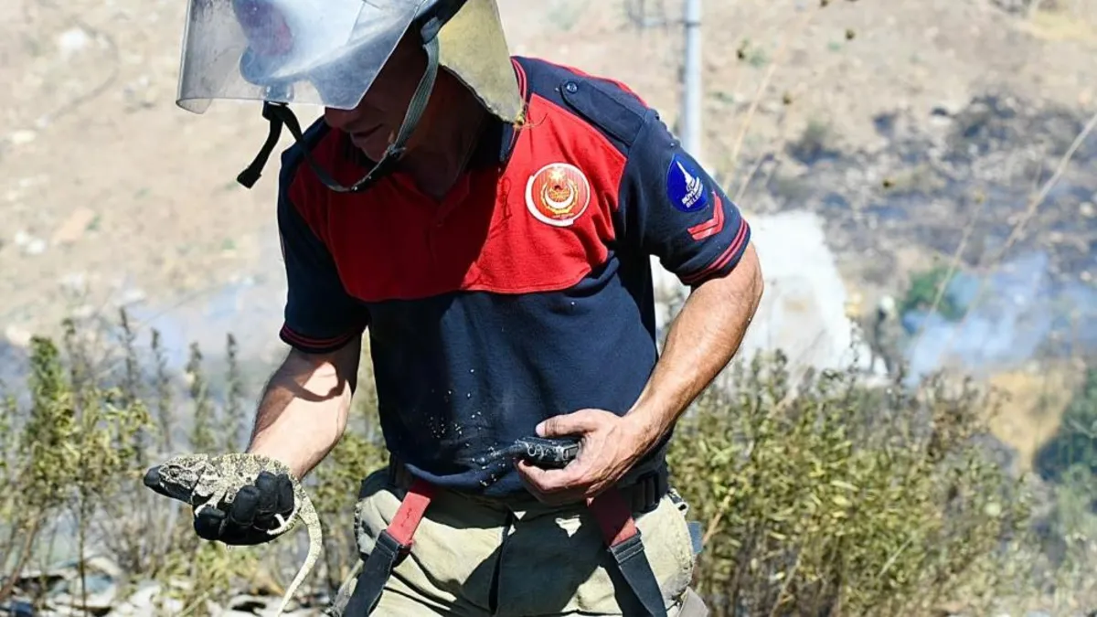 İzmir'de yangında bir bukalemun kurtarıldı