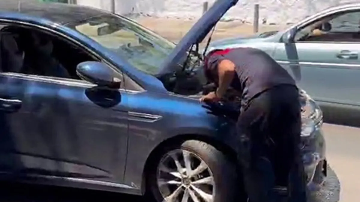 İzmir'de yavru kedi kurtarıldı