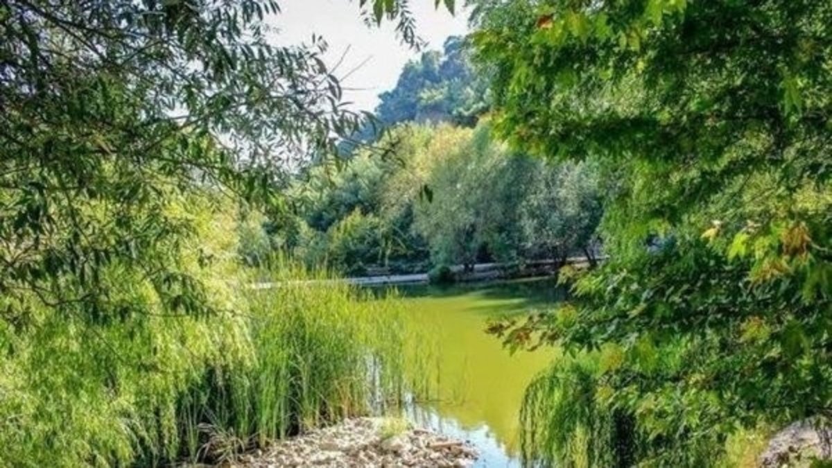 İzmir'in en serin ilçeleri