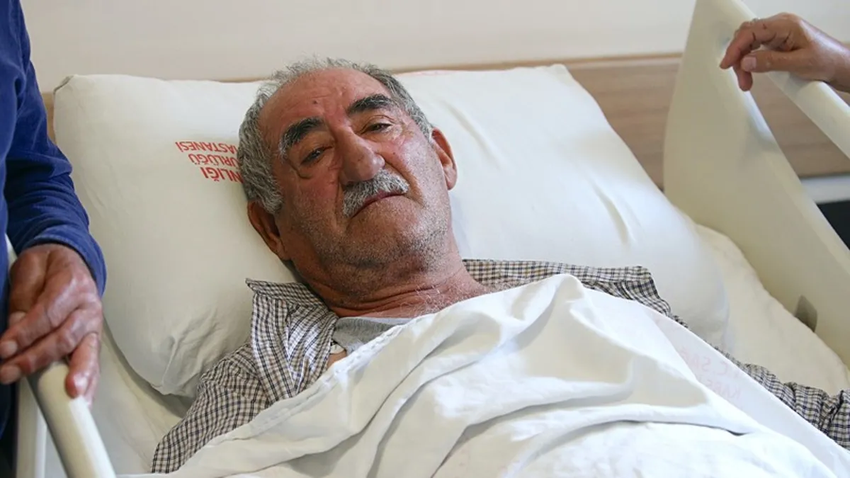 Kars'ta ayı saldırısı: Bir kişi yaralandı