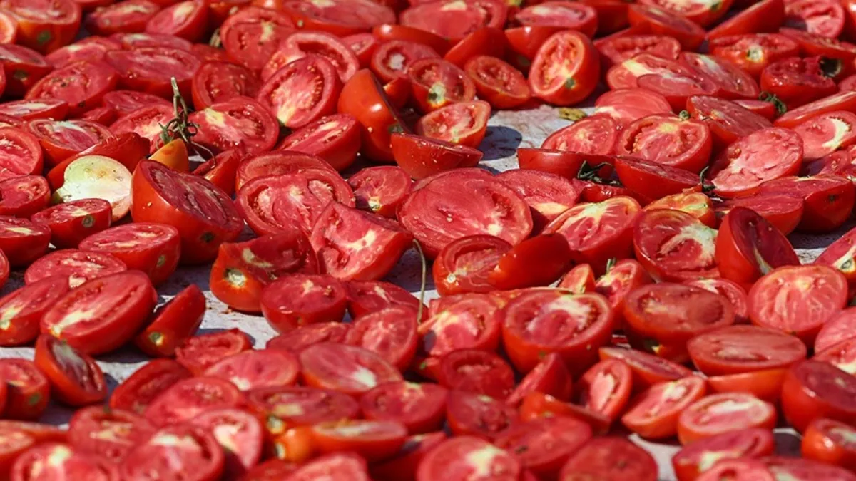 Türkiye'nin kurutulmuş domatesi 91 ülkeye ihraç edildi